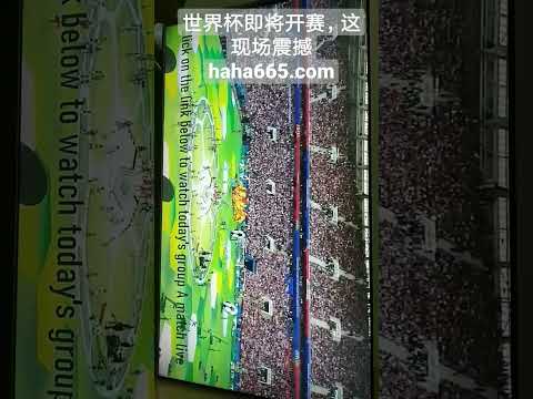 莱比锡红牛,换帅不弃售,维尔纳及,博天堂,彩票平台,在线购彩,快速开奖,安全投注