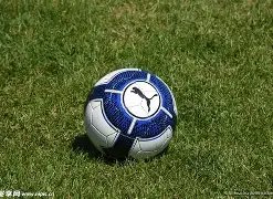 洋基内部放,宽员工留须,规定,博天堂,彩票平台,在线购彩,快速开奖,安全投注